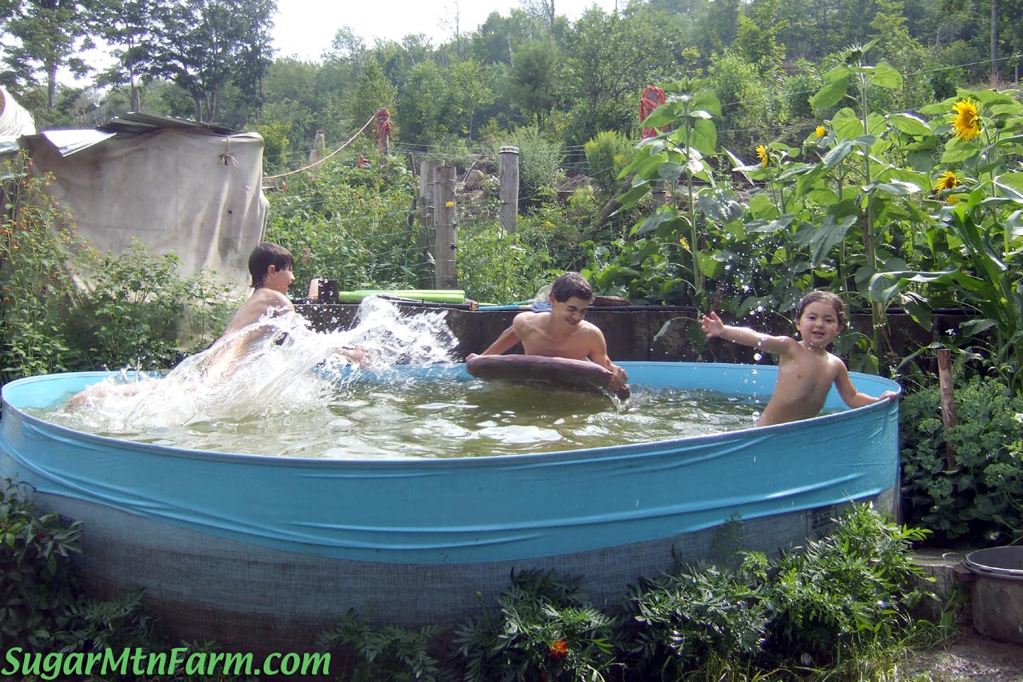 Hot Cool Natural Pool | Sugar Mountain Farm