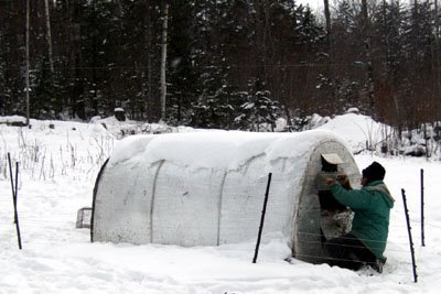 The new hoop house after covering with FBBF