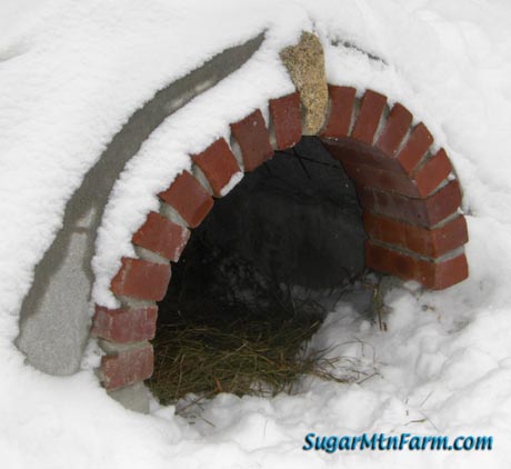 buried dog house