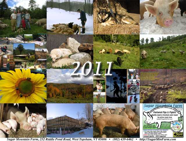 pictures of 2011 calendars. 2011 Calendar Back Cover