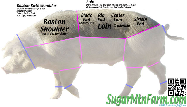 What Good Is A Pig Cuts Of Pork Nose To Tail Sugar Mountain Farm