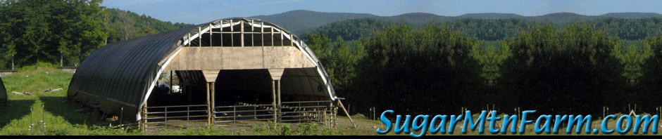 Header photo for this month.